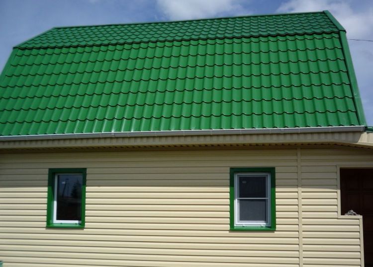 Зеленая Крыша Зеленый Сайдинг Фото